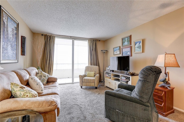 2333 Feather Sound Dr Unit A409, Clearwater, FL 33762 - carpeted living area featuring a textured ceiling