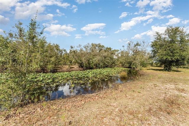 2410 Thornton Rd, Zolfo Springs, FL 33890 - view of undeveloped land