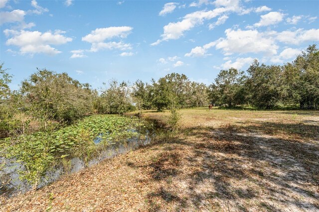 2410 Thornton Rd, Zolfo Springs, FL 33890 - view of undeveloped land