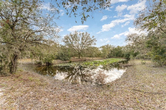 2410 Thornton Rd, Zolfo Springs, FL 33890 - water view