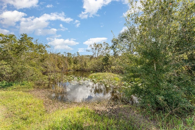 2410 Thornton Rd, Zolfo Springs, FL 33890 - photo 4
