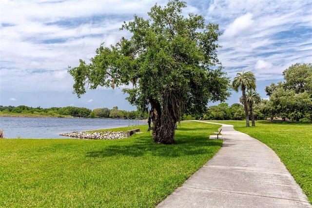 2430 Florentine Way Unit 40, Clearwater, FL 33763 - photo 43