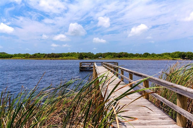 2430 Florentine Way Unit 40, Clearwater, FL 33763 - photo 48