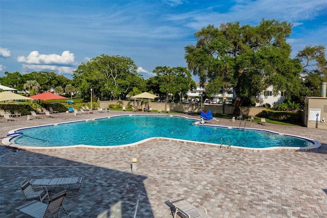 2430 Florentine Way Unit 40, Clearwater, FL 33763 - photo 35