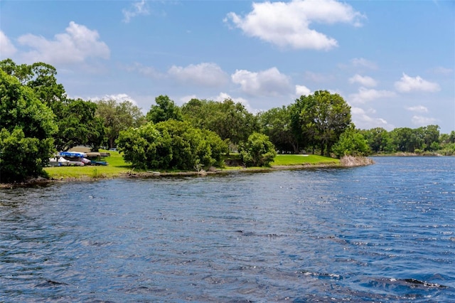 2430 Florentine Way Unit 40, Clearwater, FL 33763 - photo 49