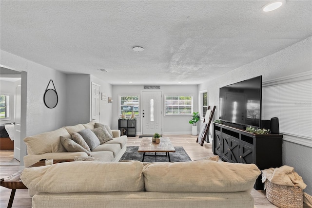4460 67th St N, Saint Petersburg, FL 33709 - living room with light wood-type flooring and a textured ceiling