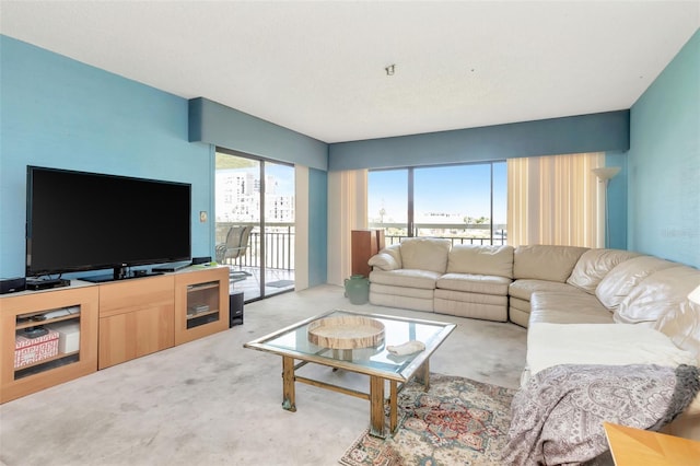 7893 Sailboat Key Blvd S Unit 304, South Pasadena, FL 33707 - living area with healthy amount of natural light and carpet flooring