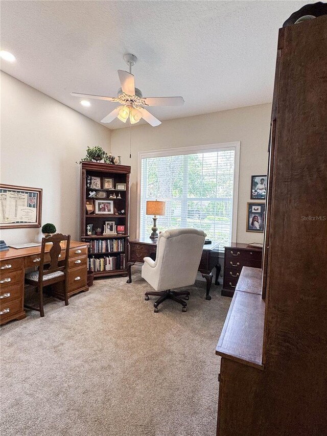 11501 Norval Pl, Temple Terrace, FL 33617 - photo 36