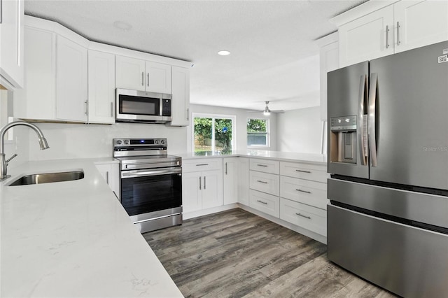 105 Dunbridge Dr, Palm Harbor, FL 34684 - photo 27