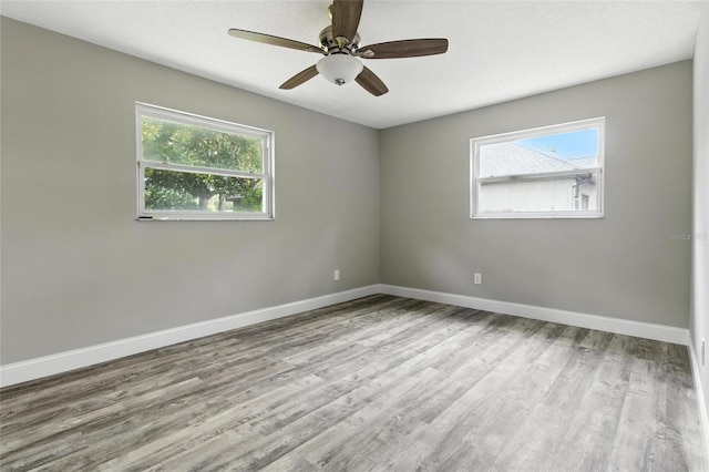 105 Dunbridge Dr, Palm Harbor, FL 34684 - photo 45