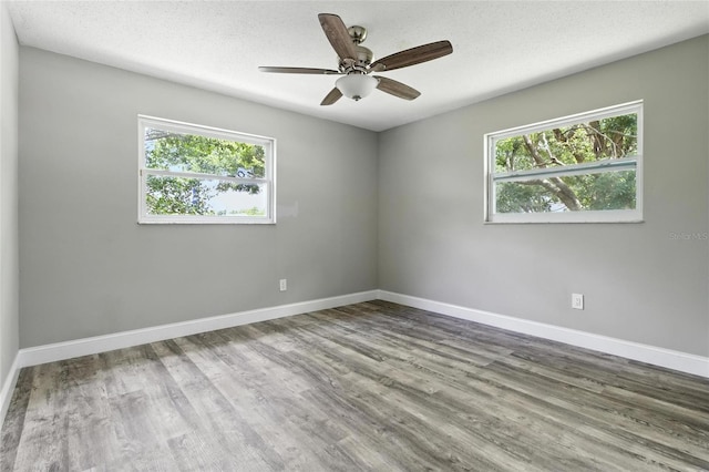 105 Dunbridge Dr, Palm Harbor, FL 34684 - photo 47