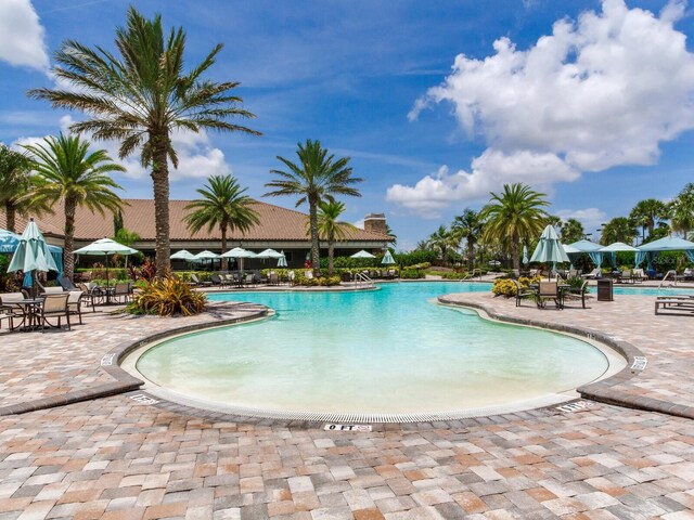 5317 Rushmere Ct, Palmetto, FL 34221 - community pool with a patio