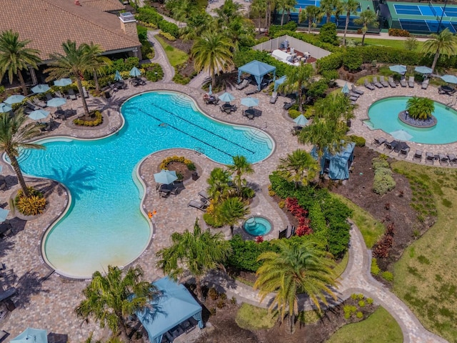 5317 Rushmere Ct, Palmetto, FL 34221 - view of swimming pool