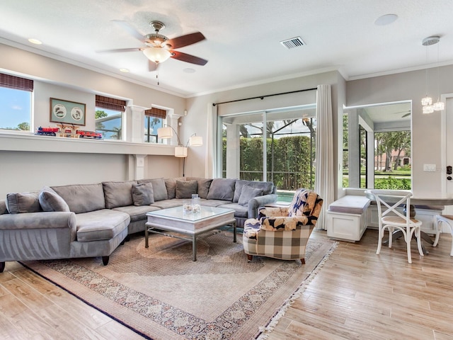 3503 Graycliff Ln, Brandon, FL 33511 - living room with ornamental molding, light wood finished floors, and ceiling fan