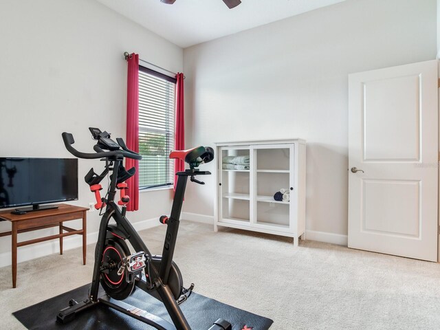 3503 Graycliff Ln, Brandon, FL 33511 - exercise room with carpet floors and a ceiling fan