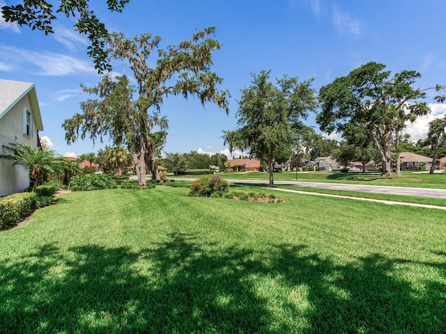 3503 Graycliff Ln, Brandon, FL 33511 - view of grassy yard