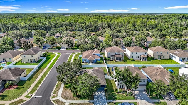 18339 Fish Loop, Land O Lakes, FL 34638 - aerial view of residential area with a forest