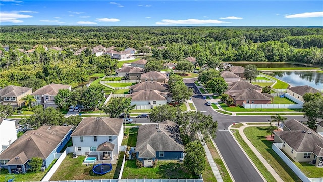 18339 Fish Loop, Land O Lakes, FL 34638 - aerial perspective of suburban area featuring a heavily wooded area and a large body of water