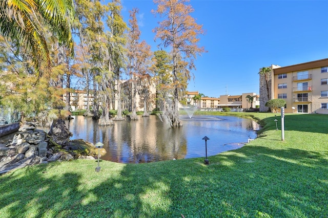 5820 N Church Ave Unit 147, Tampa, FL 33614 - photo 4