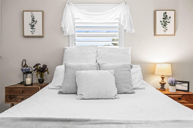 1406 Nebraska Ave, Palm Harbor, FL 34683 - view of bedroom