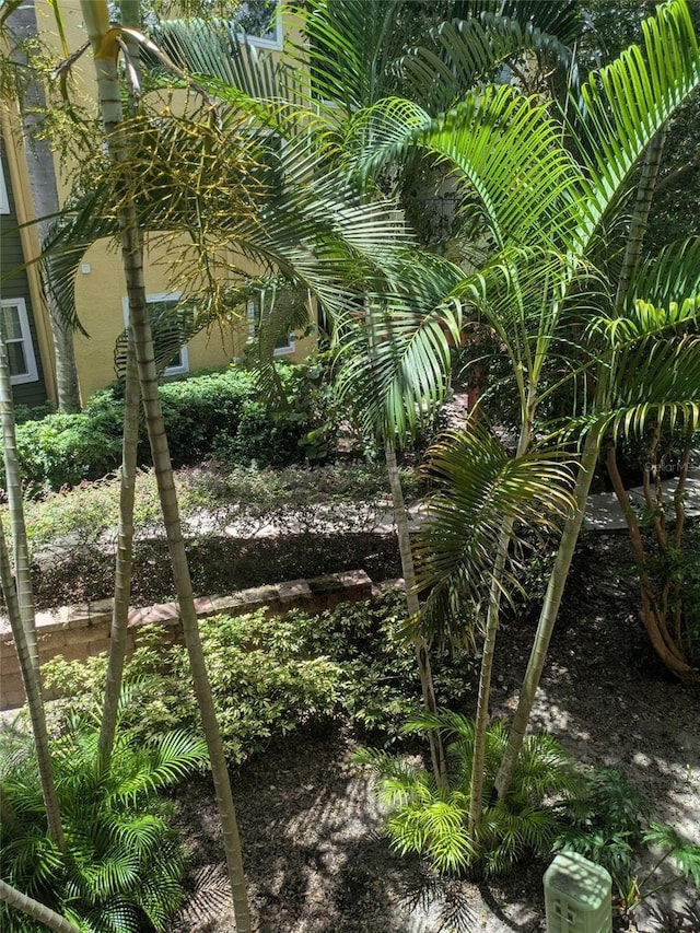 1910 E Palm Ave Unit 8211, Tampa, FL 33605 - photo 32