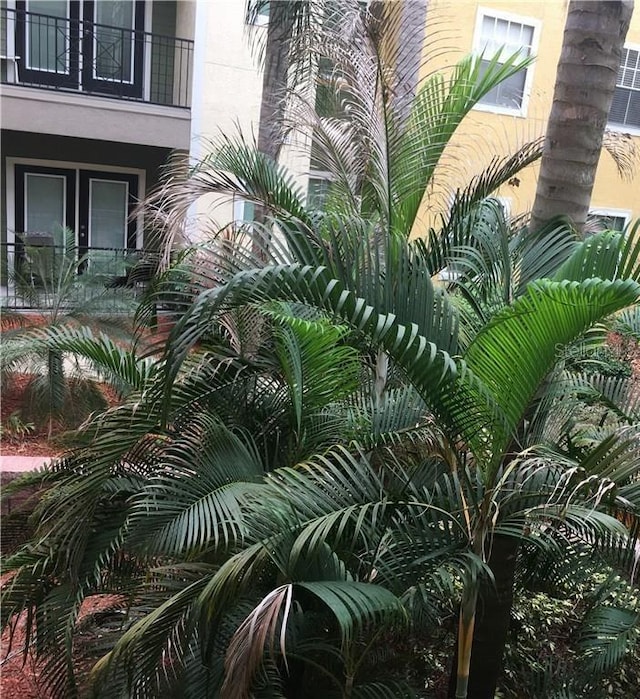 1910 E Palm Ave Unit 8211, Tampa, FL 33605 - photo 34