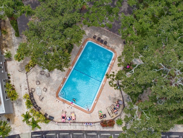 720 Lyndhurst St Unit 1101, Dunedin, FL 34698 - aerial view of a pool