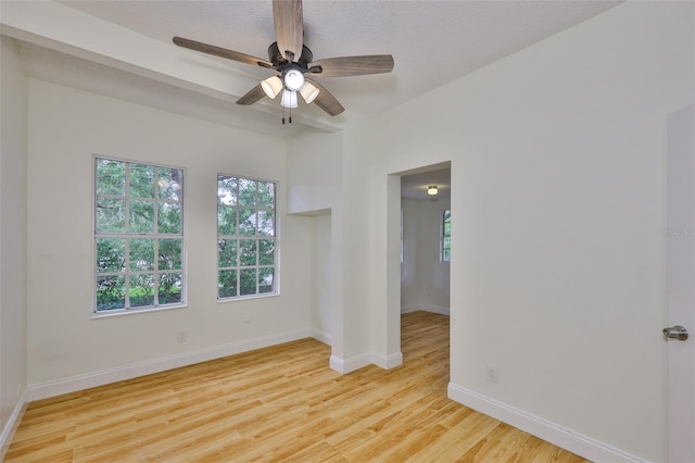 3906 W San Luis St, Tampa, FL 33629 - photo 31