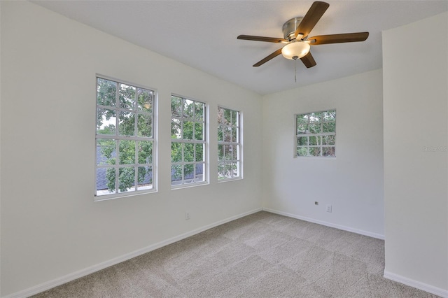 3906 W San Luis St, Tampa, FL 33629 - photo 32