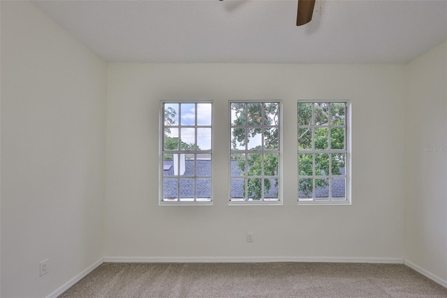 3906 W San Luis St, Tampa, FL 33629 - photo 33