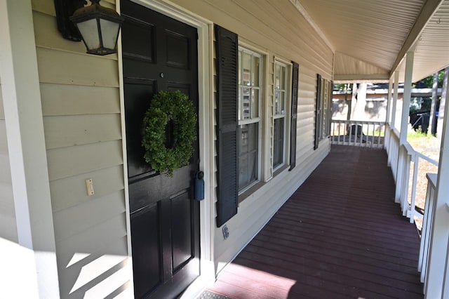 3906 W San Luis St, Tampa, FL 33629 - photo 2