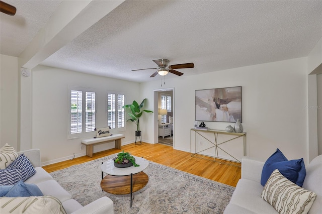 3906 W San Luis St, Tampa, FL 33629 - photo 6