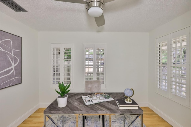 3906 W San Luis St, Tampa, FL 33629 - photo 7