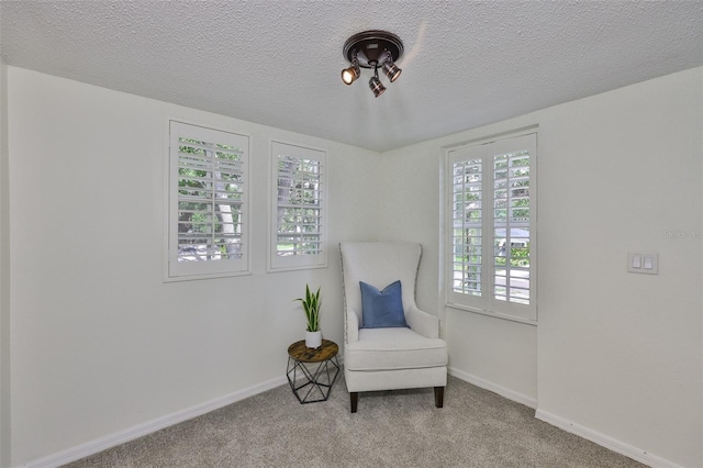3906 W San Luis St, Tampa, FL 33629 - photo 22