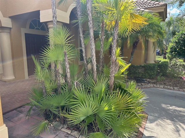 1353 El Pardo Dr, Trinity, FL 34655 - exterior view of stucco siding