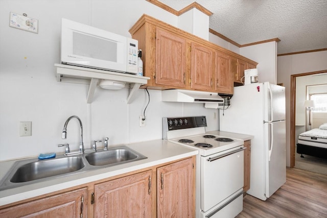 35045 Cynthia Ave Unit 35945, Zephyrhills, FL 33541 - photo 10