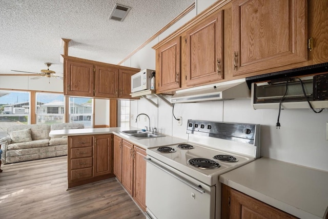 35045 Cynthia Ave Unit 35945, Zephyrhills, FL 33541 - photo 11