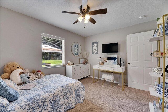 4312 James L Redman Pkwy, Plant City, FL 33567 - photo 18