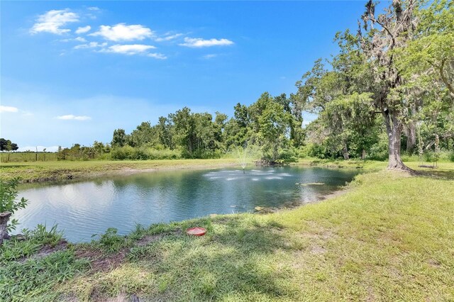 4312 James L Redman Pkwy, Plant City, FL 33567 - photo 50