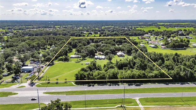4312 James L Redman Pkwy, Plant City, FL 33567 - photo 51