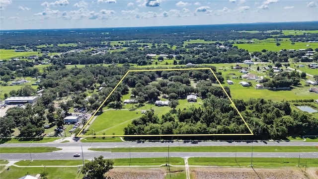 4312 James L Redman Pkwy, Plant City, FL 33567 - photo 52