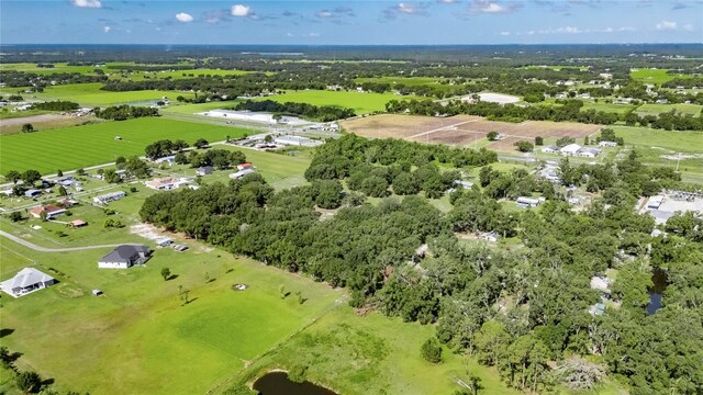4312 James L Redman Pkwy, Plant City, FL 33567 - photo 54