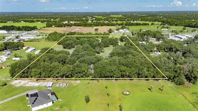 4312 James L Redman Pkwy, Plant City, FL 33567 - photo 55