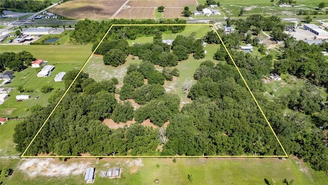 4312 James L Redman Pkwy, Plant City, FL 33567 - photo 56
