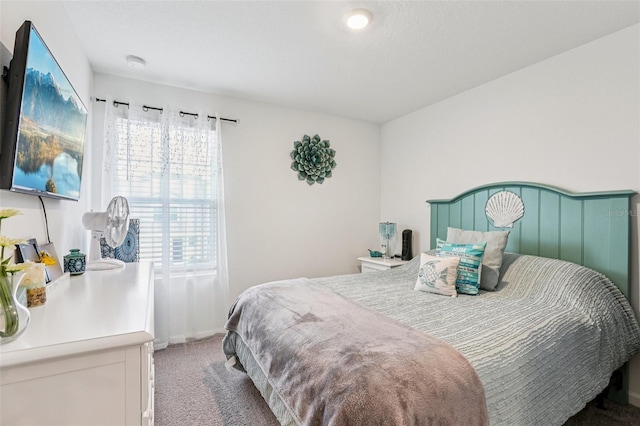 6235 Bucket Ct, Gibsonton, FL 33534 - bedroom featuring light colored carpet