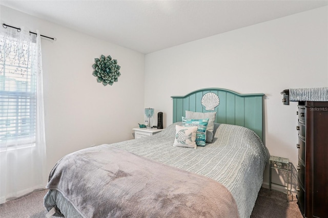 6235 Bucket Ct, Gibsonton, FL 33534 - view of carpeted bedroom