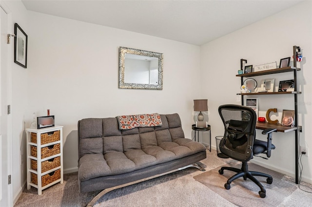 6235 Bucket Ct, Gibsonton, FL 33534 - office space featuring carpet flooring and baseboards