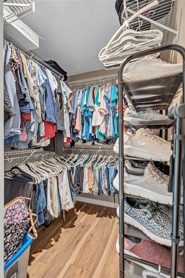 900 Maclaren Dr N Unit D, Palm Harbor, FL 34684 - walk in closet with wood finished floors