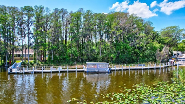 900 Maclaren Dr N Unit D, Palm Harbor, FL 34684 - dock with a water view and view of scattered trees