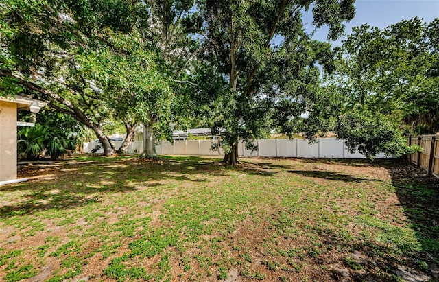 11783 102nd Ave, Largo, FL 33778 - photo 8